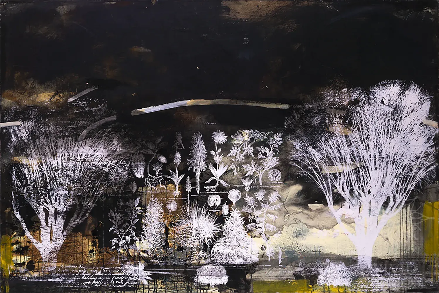 Картина «L'orangerie #17»